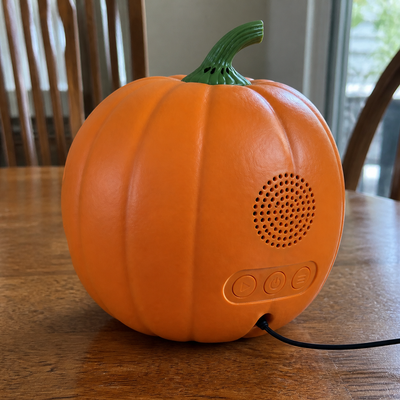 Rear speaker, control buttons, and power cable on Jabberin Jack.