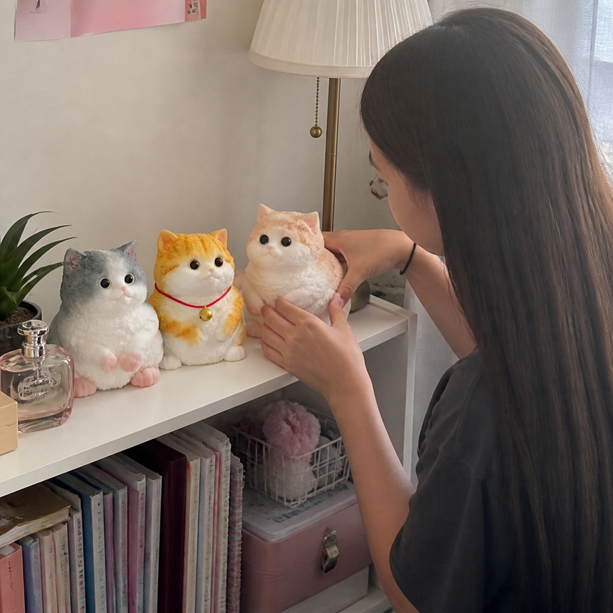 Candid shelf photo arranging three exact chunky Taba cat squishies.